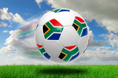 历程与展望 历程与展望