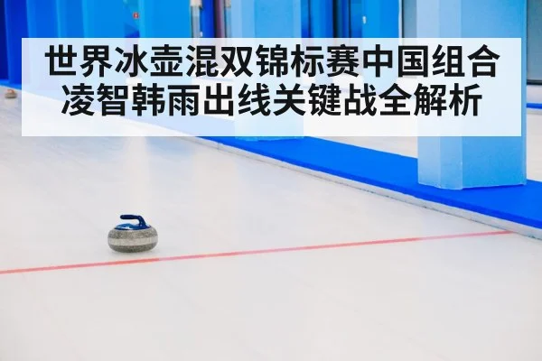 curling stone on ice
